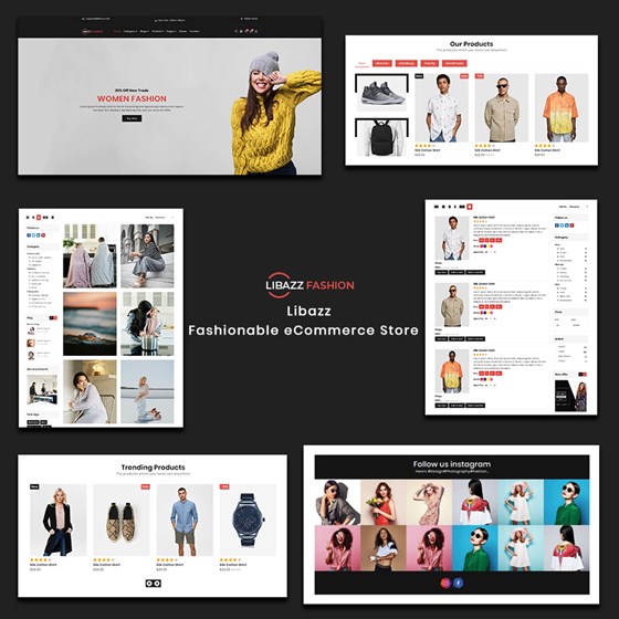 Libazz - The Fashionable eCommerce Store: Anil Viradiya