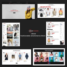 Libazz - The Fashionable eCommerce Store: Anil Viradiya